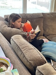 Reading with a Fox